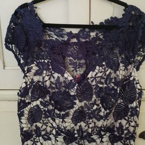 NWT Debshops knee length lace dress navy 1x